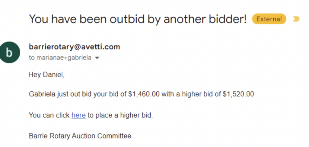 Screenshot of Outbid Email Notification