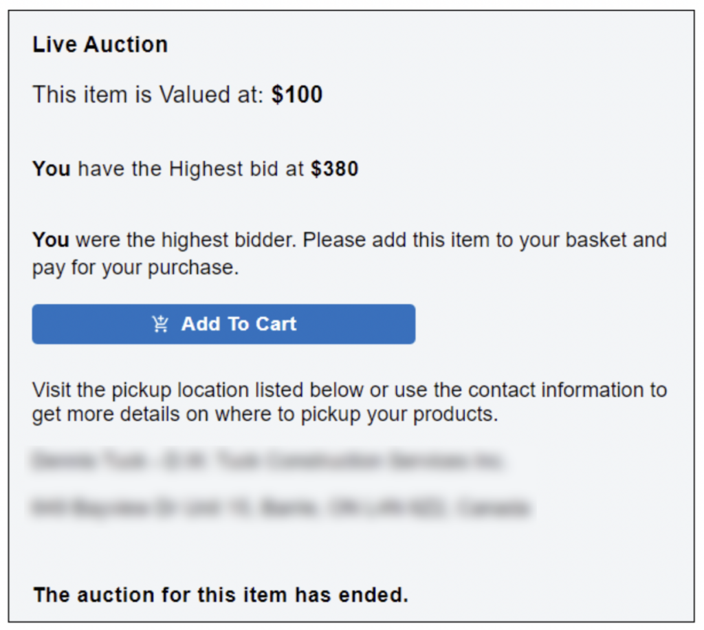 Screenshot Showing Active Auction Item